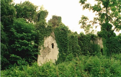 Castle Caldwell in ruins